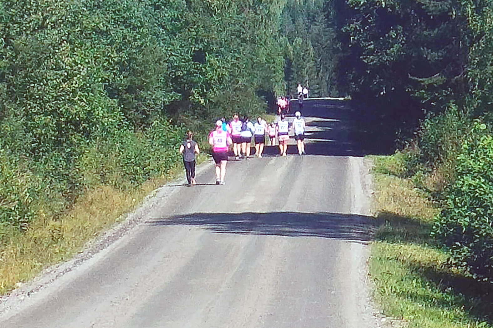 Ensi lauantaina järjestettävä Ahmanjuoksun reitti kiertää Ahmovaaran ja Larinsaaren mäkisissä maisemissa.  VS-arkistokuva