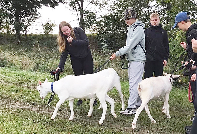 Oppilaille oli ohjelmassa Saksassa muun muassa vuohikävelytystä pyöräilyretken lomassa. Kuvassa Niina Kuiri, Jesse Veikanmaa, Otava Repo sekä Miko Karttunen. Kuva: Irma Moilanen. 