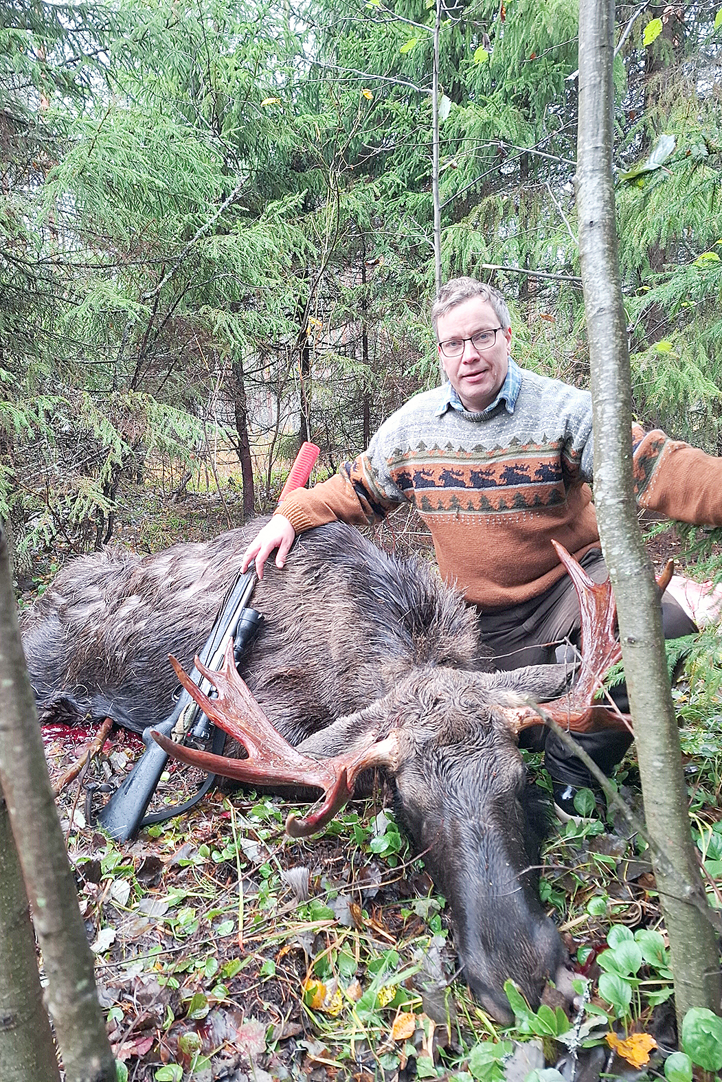 Ossi Lehikoisen kaatama 11-piikkinen uros oli ruhopainoltaan komeat 239 kiloa.