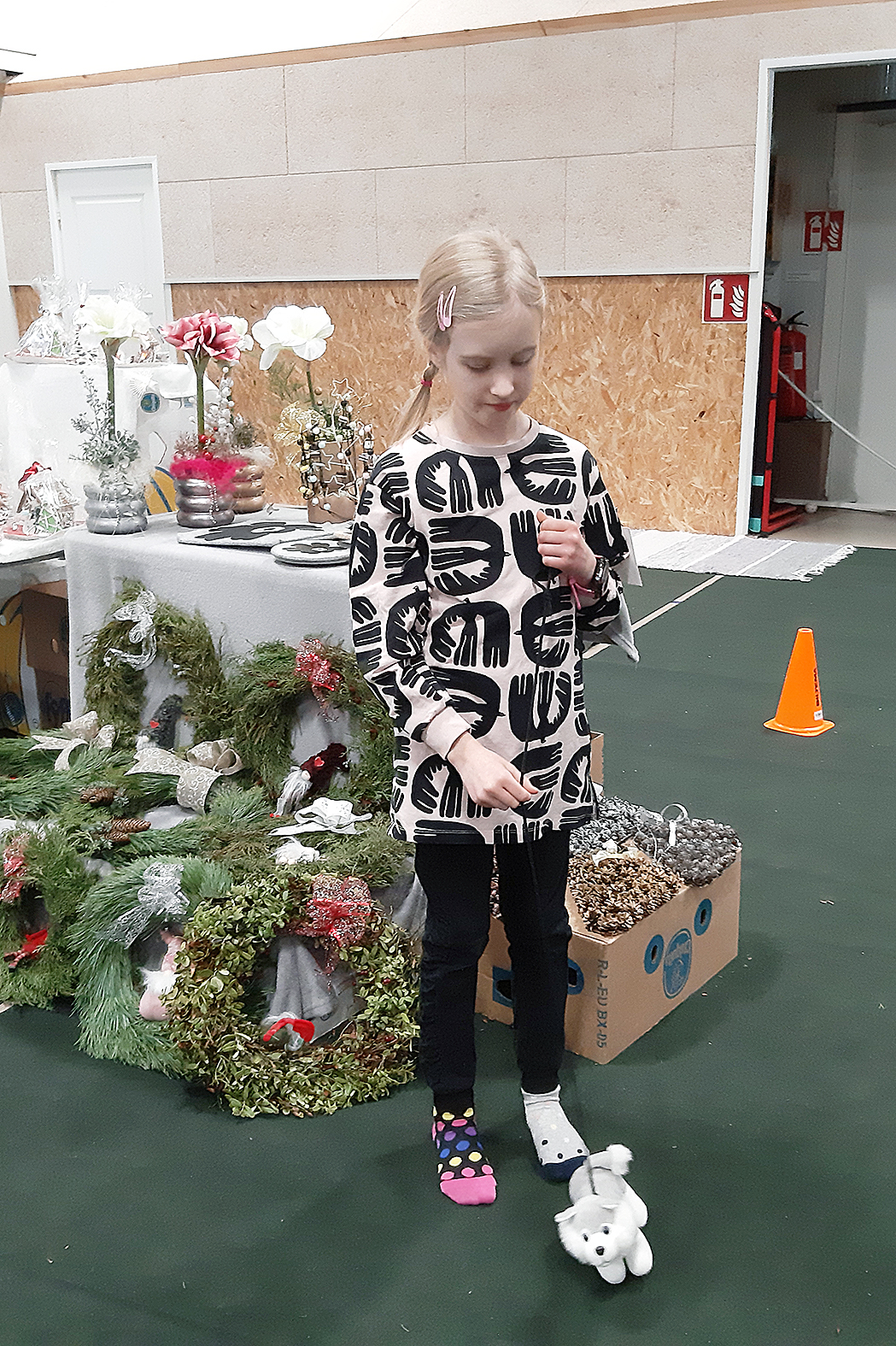 Alisa Hiltusella oli mukana lelukoira, jonka kanssa hän aikoi osallistua lelukoirakilpailuun.