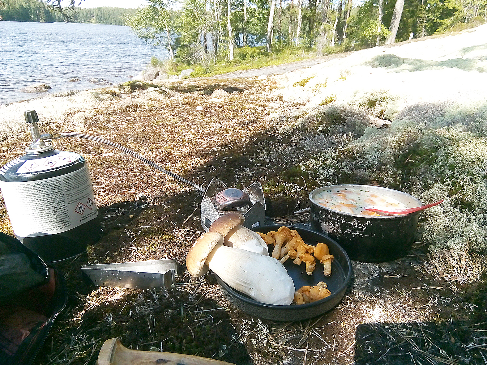Puulaan melontareissulla ruokana oli keittoa ja sieniä. Kuva: Niina Miettinen