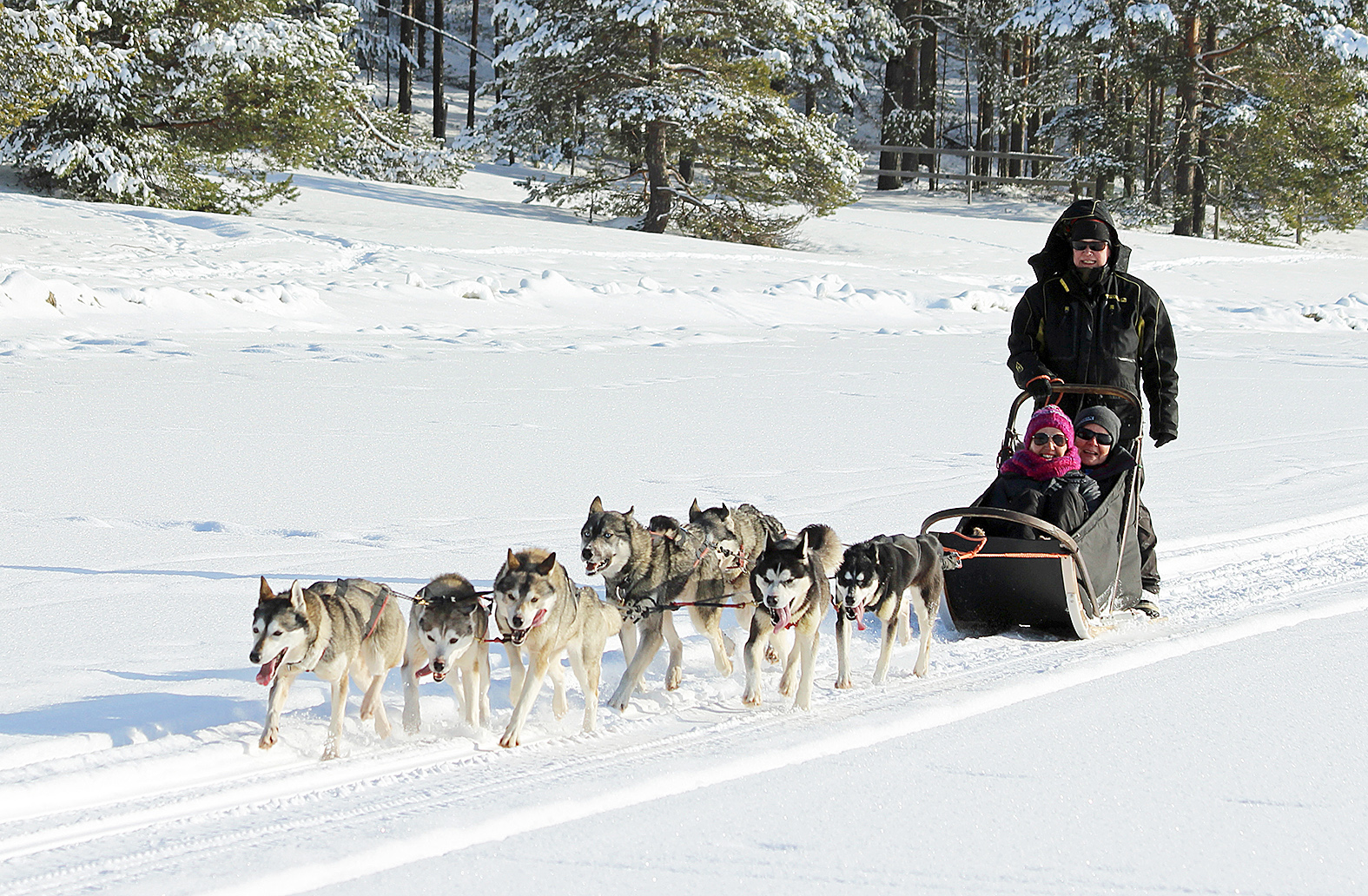 Luminen Pielisen jää, reen edessä innokkaat Pia Isomursun koirat, siinä saa kyydissä olijat kokea erilaista vauhdin hurmaa. Turisteille koiravaljakkokyyti on unohtumaton lomakokemus.