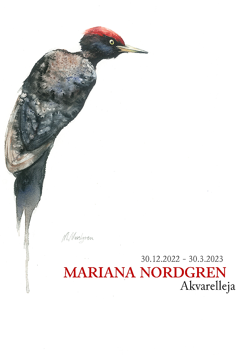 Lintuakvarellaja Ukossa. Palokärki ja muita Mariana Nordgrenin lintuaiheisia akvarelleja on esillä Luontokeskus Ukossa maaliskuun loppuun saakka. Kuva Kolin kulttuuriseura