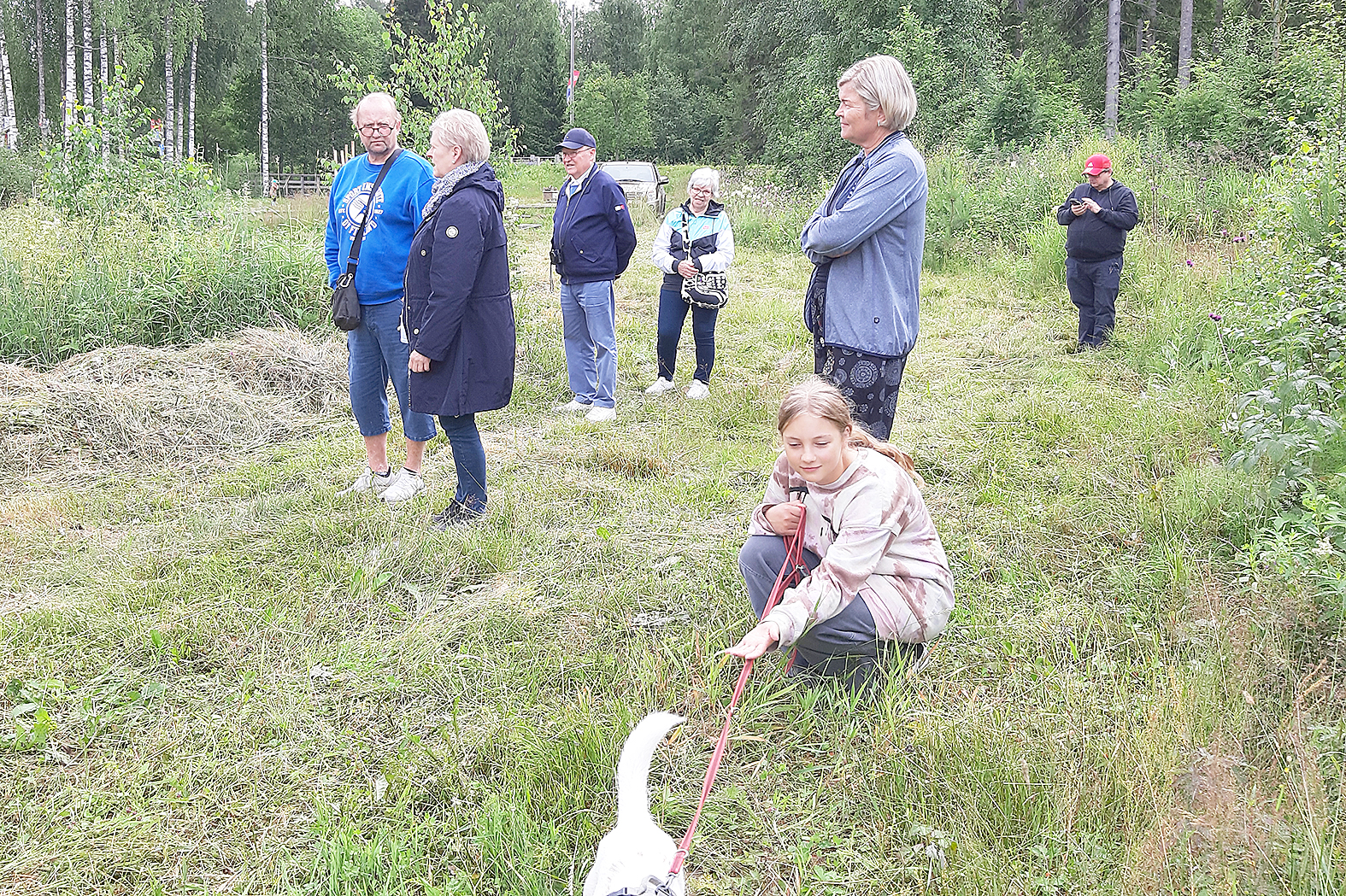 Yleisöstä oli mielenkiintoista seurata miten ennen vanhaan heiniä seivästettiin.