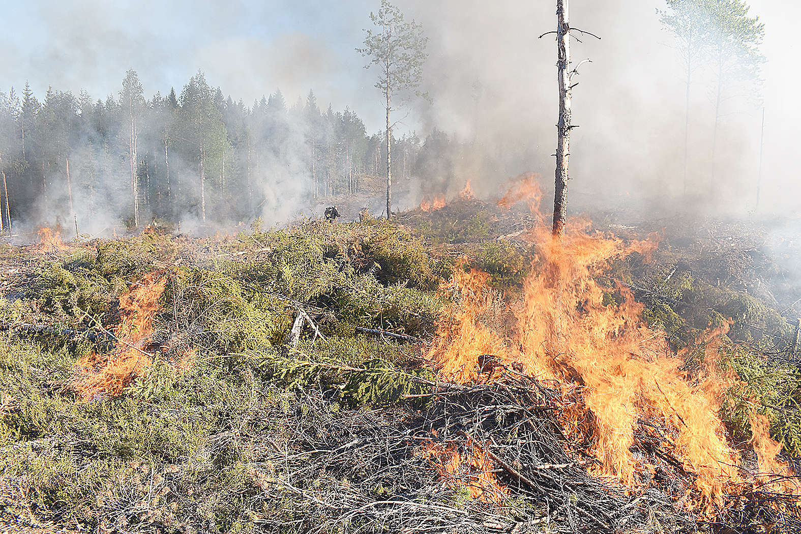 Pohjois-Karjalan pelastuslaitos on kieltänyt kaikenlaisen avotulen teon, myös kulotuksen, maakunnan alueella. VS-arkistokuva