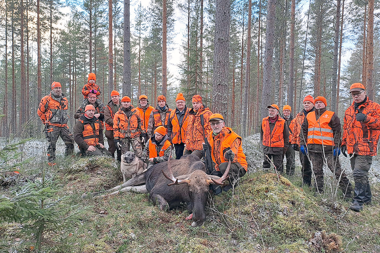 Leijonahirven kaatoi Markku Kokkola Arto Kakkosen Jarppi-koiran haukusta. 