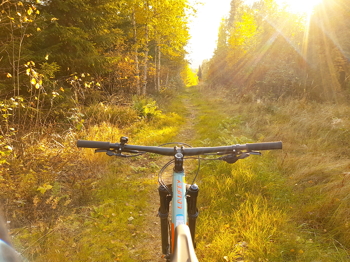 Maisemapyöräily ajetaan 6-30 kilometriä pitkänä reittinä metsäpoluilla, metsäautoteillä ja hiekkateillä. Kuva Katariina Rantalaiho