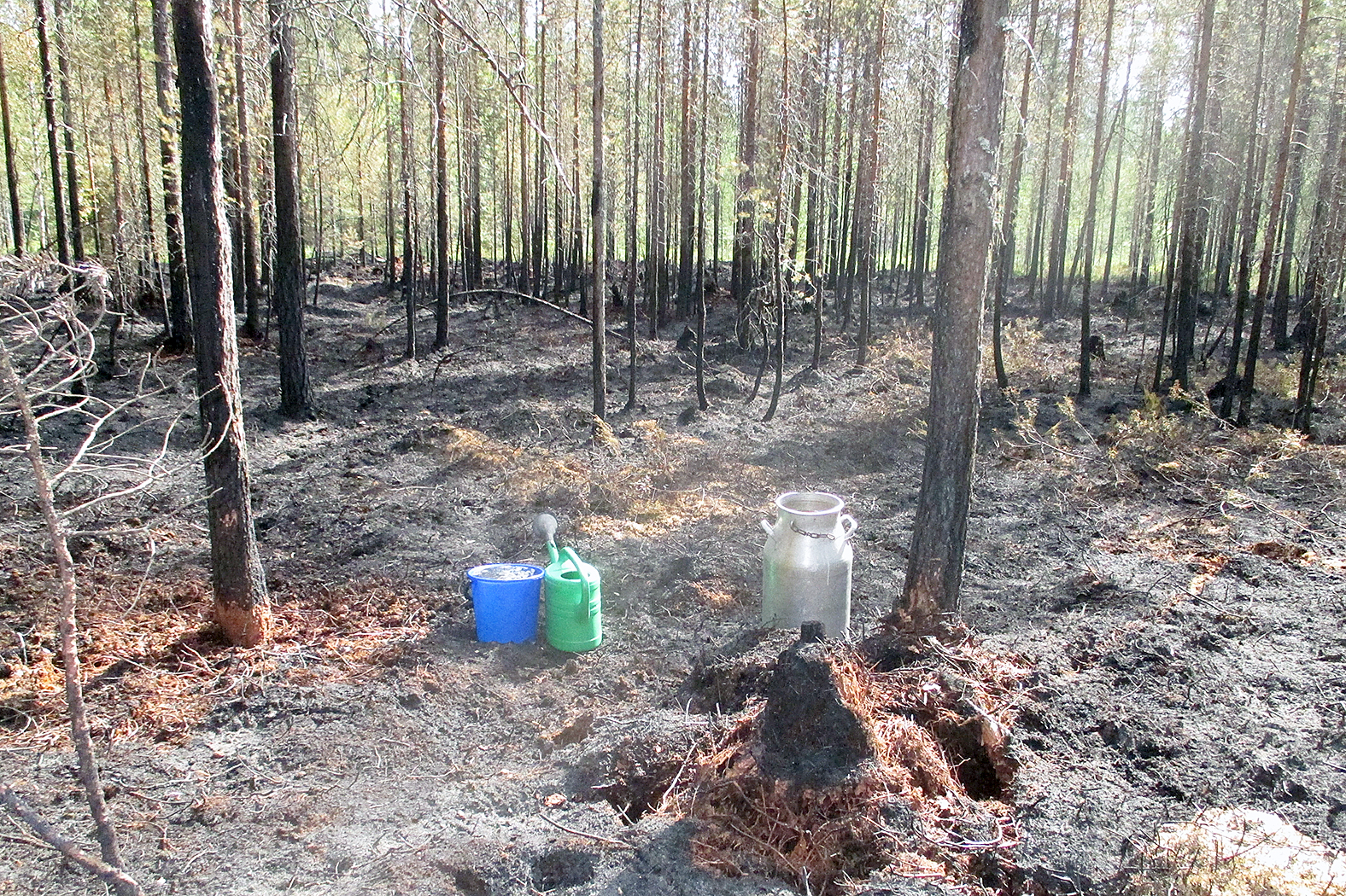 Maastopalokausi alkaa. Yli puolet maastopaloista on ihmisen toiminnasta aiheutuneita. VS-arkistokuva