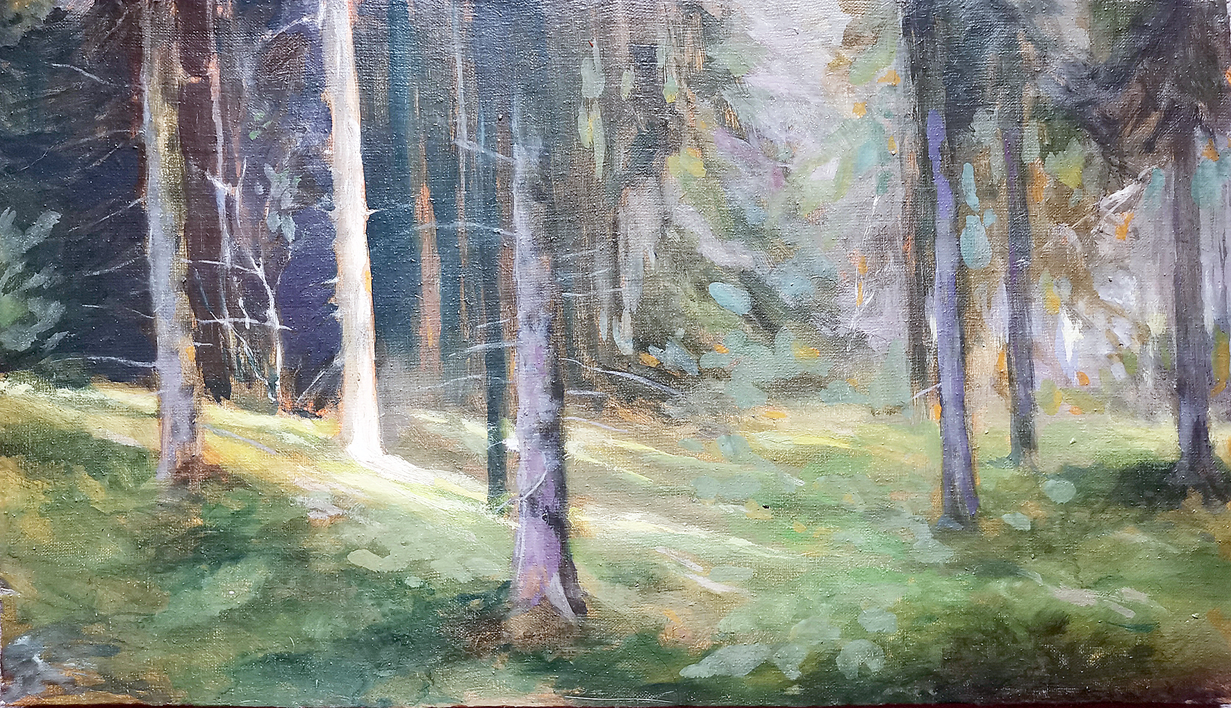 Ukon näyttely. Teoksissaan Sanni-Maaria Puustinen tarkastelee ihmisen ja ympäristön välistä vuorovaikutussuhdetta kestävyysmurroksen aikakaudella. 