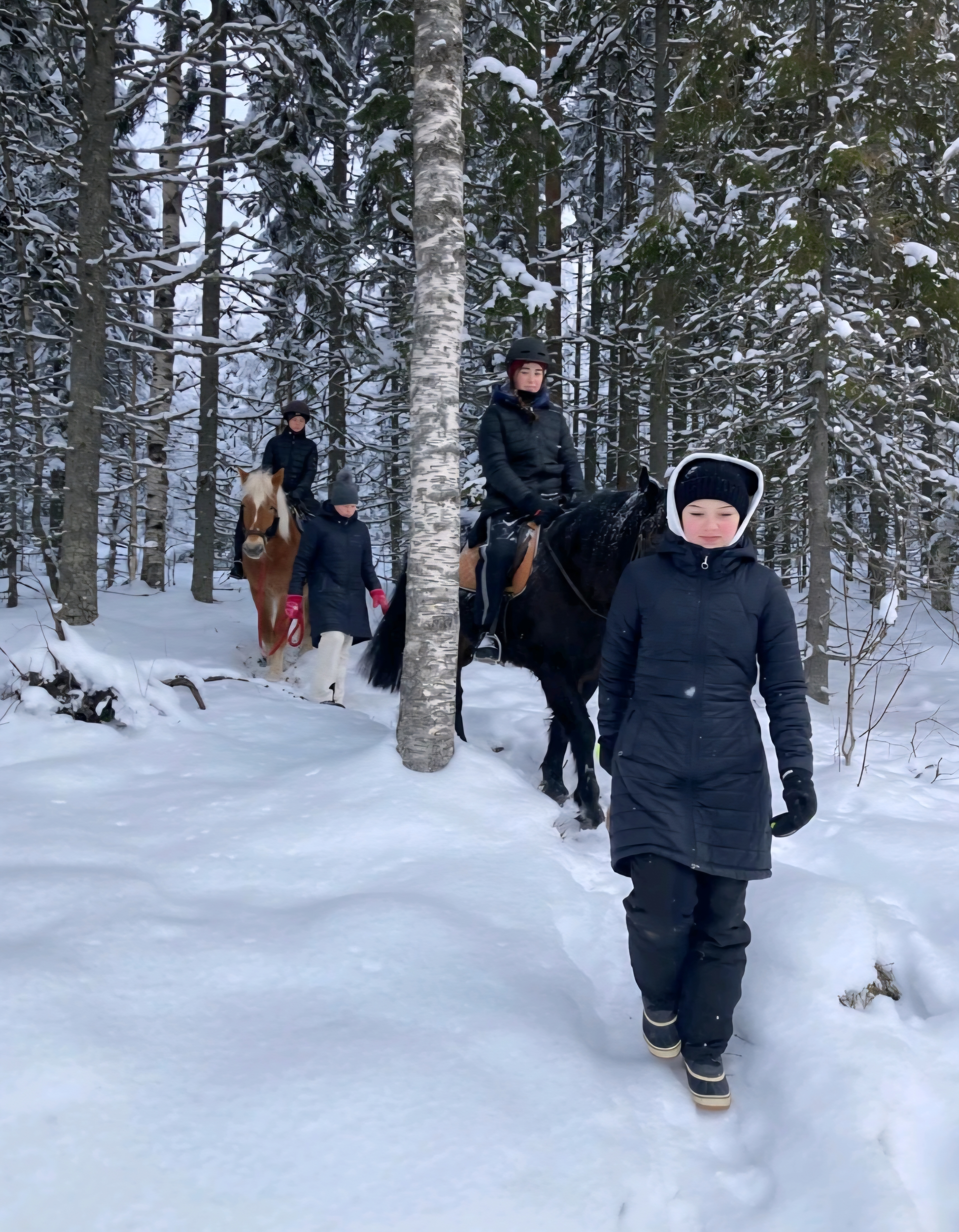 Saksalaisnuoret kävivät muun muassa ratsastamassa isäntäperheidensä nuorten kanssa lumisessa metsässä.