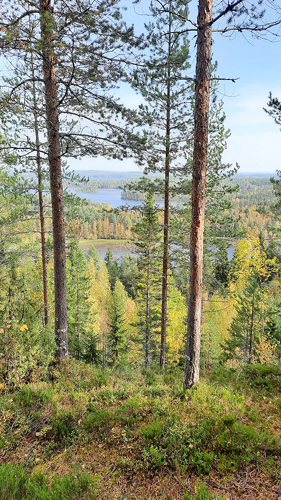 Petrovaaran syysretkellä Korkeavaaralle ihasteltiin upeaa ruskaa ja huikeaa näkymää Pieliselle.