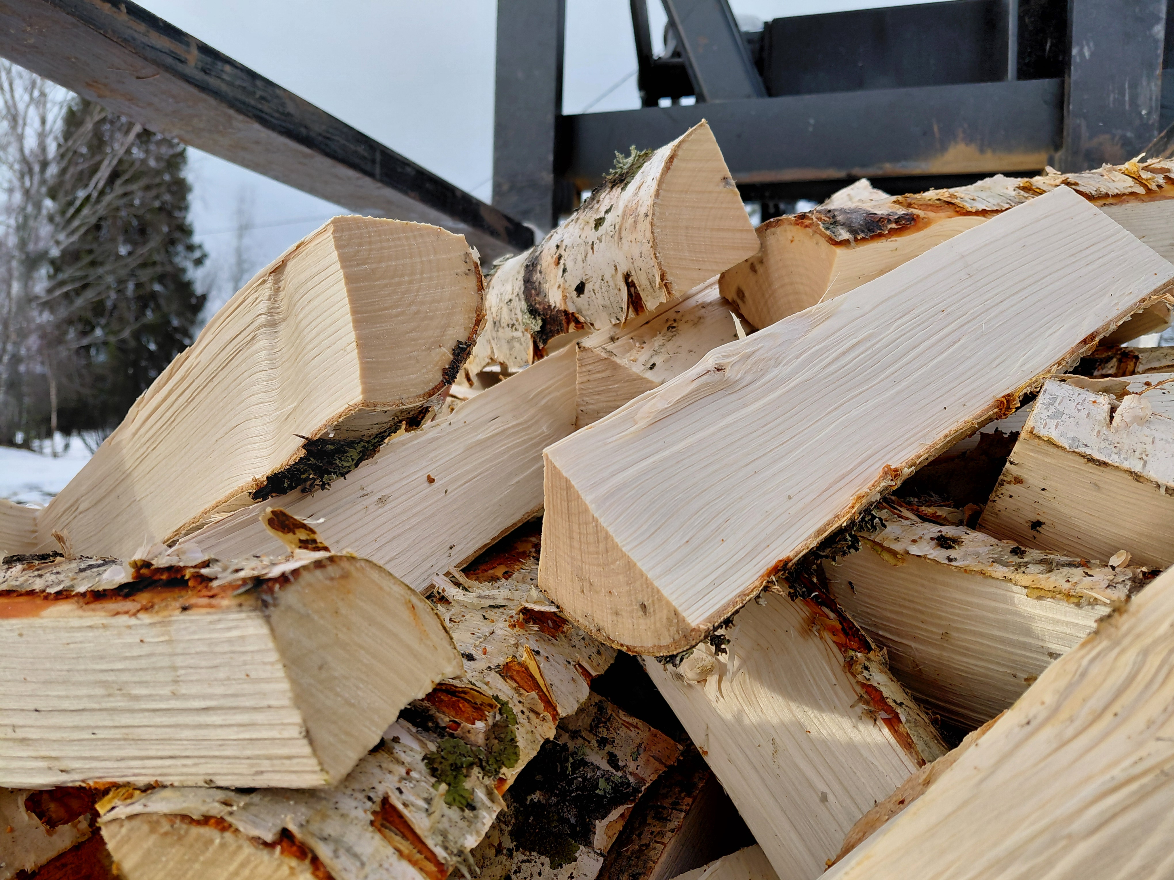 Kaikki puut palavat, mutta koivu on suosituinta. 