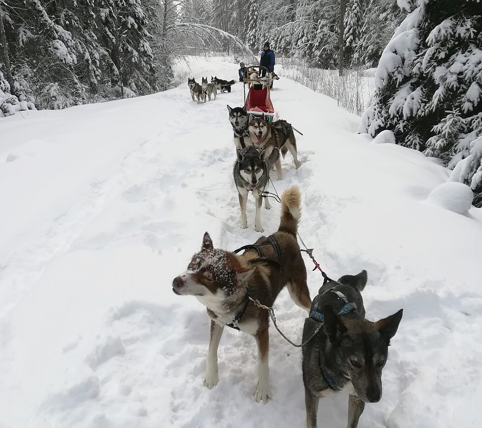 Tältähän se ideaalitilanne näyttäisi, kun olisi paljon lunta. Arkistokuva