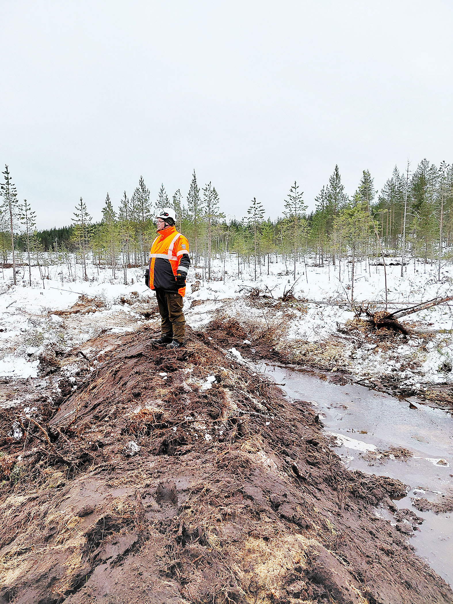 Luonnonhoidon asiantuntija Rauli Perkiö seisoo kaivinkoneella tehdyn padon päällä havainnollistaen padon korkeutta.