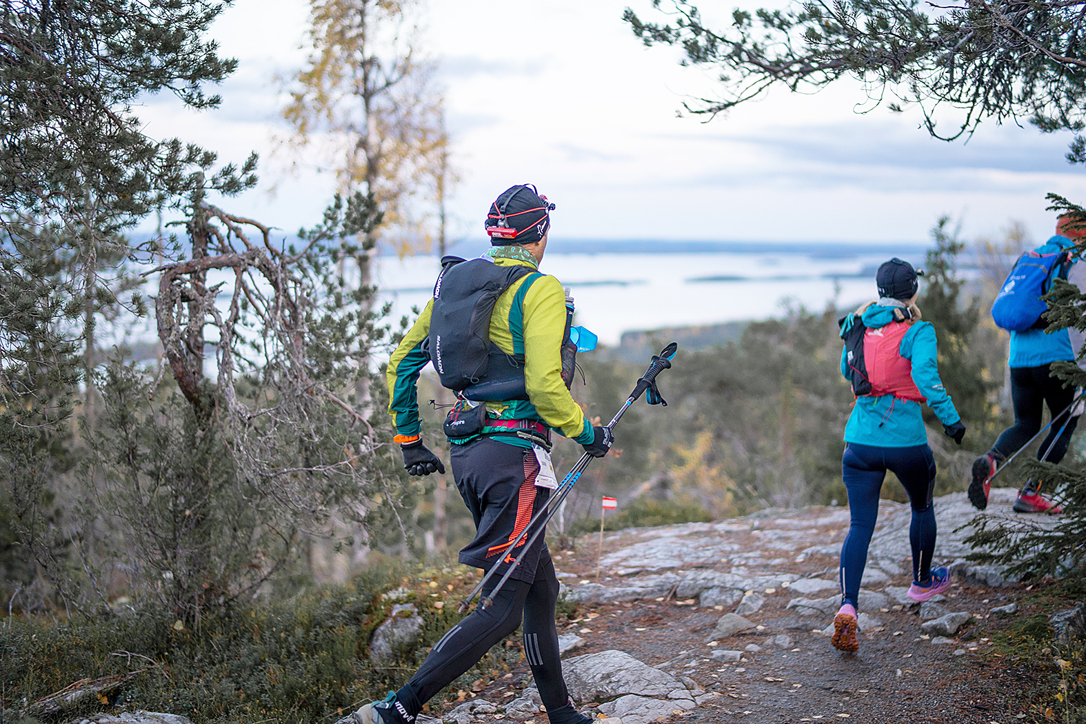 Viikonloppuna juostava Vaarojen Maraton kokoaa polkujuoksun harrastajat Kolille. Kuva Lauri Kontkanen