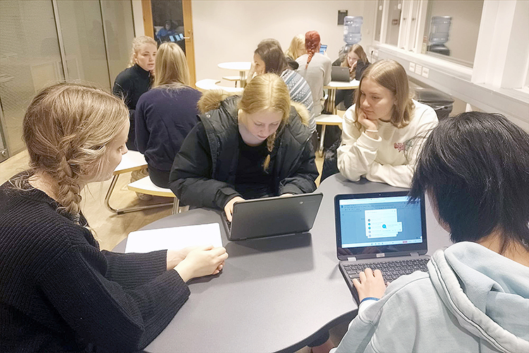 Nuoret hanketyöskentelyn parissa Islannissa.  

