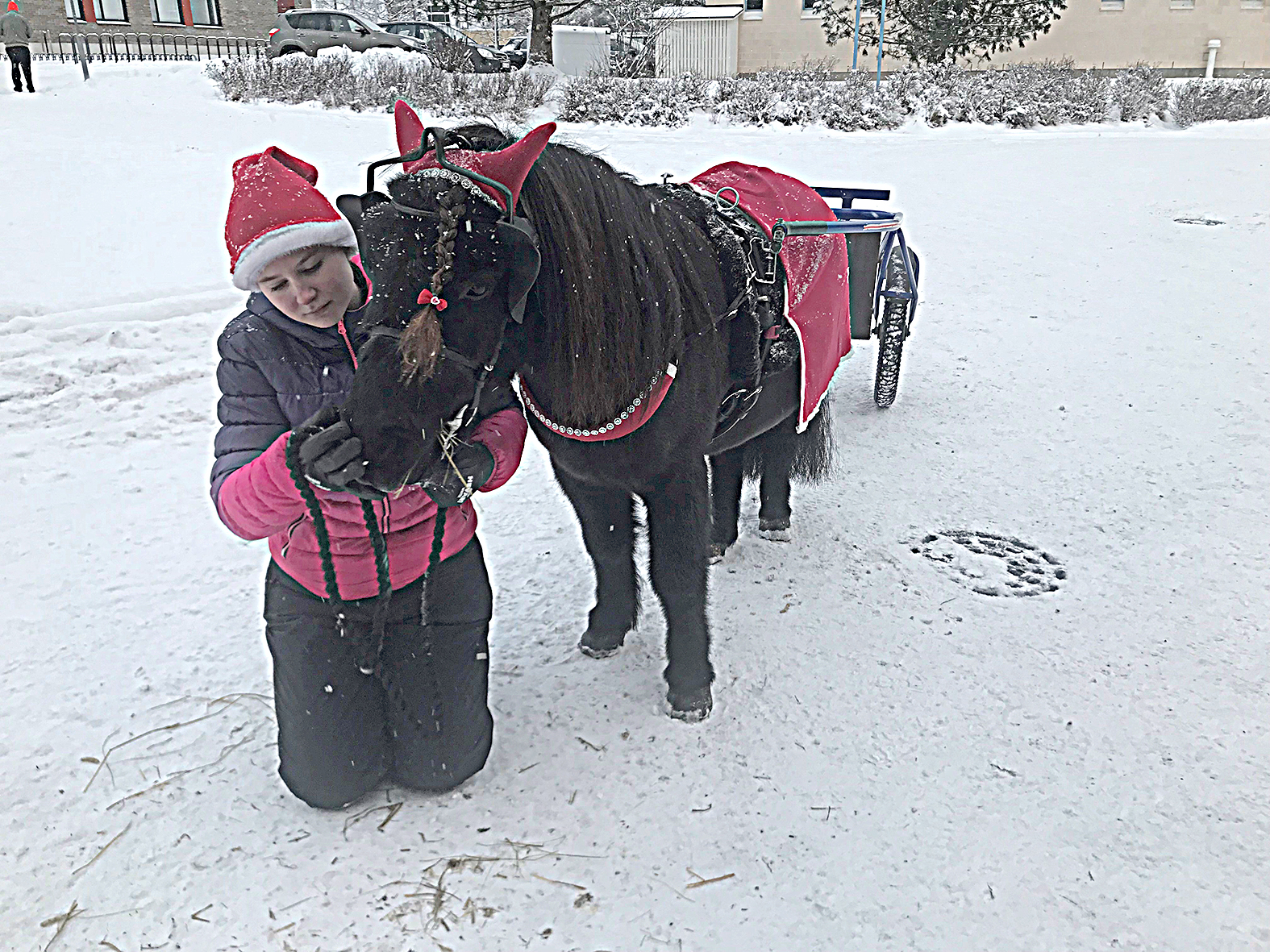 Poniajelulle pääsi Sara Surakan Robilla.