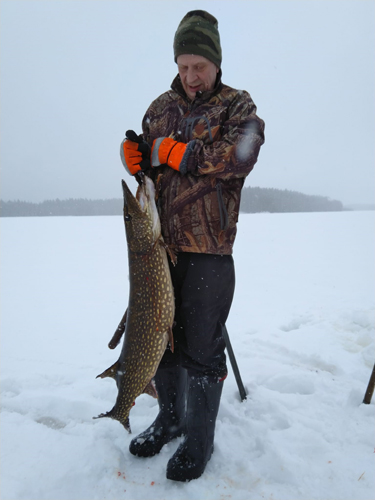 Menneenä talvena kalastaja Juhani Puhakka onnistui saamaan kilpailumitat täyttävän hauen Kuhnustanjärvestä. Hauella oli painoa 12,5 kiloa ja pituutta 120 senttiä. Rinnanympärys oli 58 senttiä. Puhakka kalastelee Nunnanlahden kalaveden osakaskunnan vesialueella. Jättihauen hän sai verkolla päivämäärällä 25.3.2023.