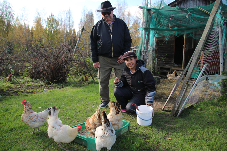 Seppo ja Nang Kukkonen kasvattavat kanoja Polvelassa. Varsinaisesta yritystoiminnasta ei kuitenkaan ole kysymys.