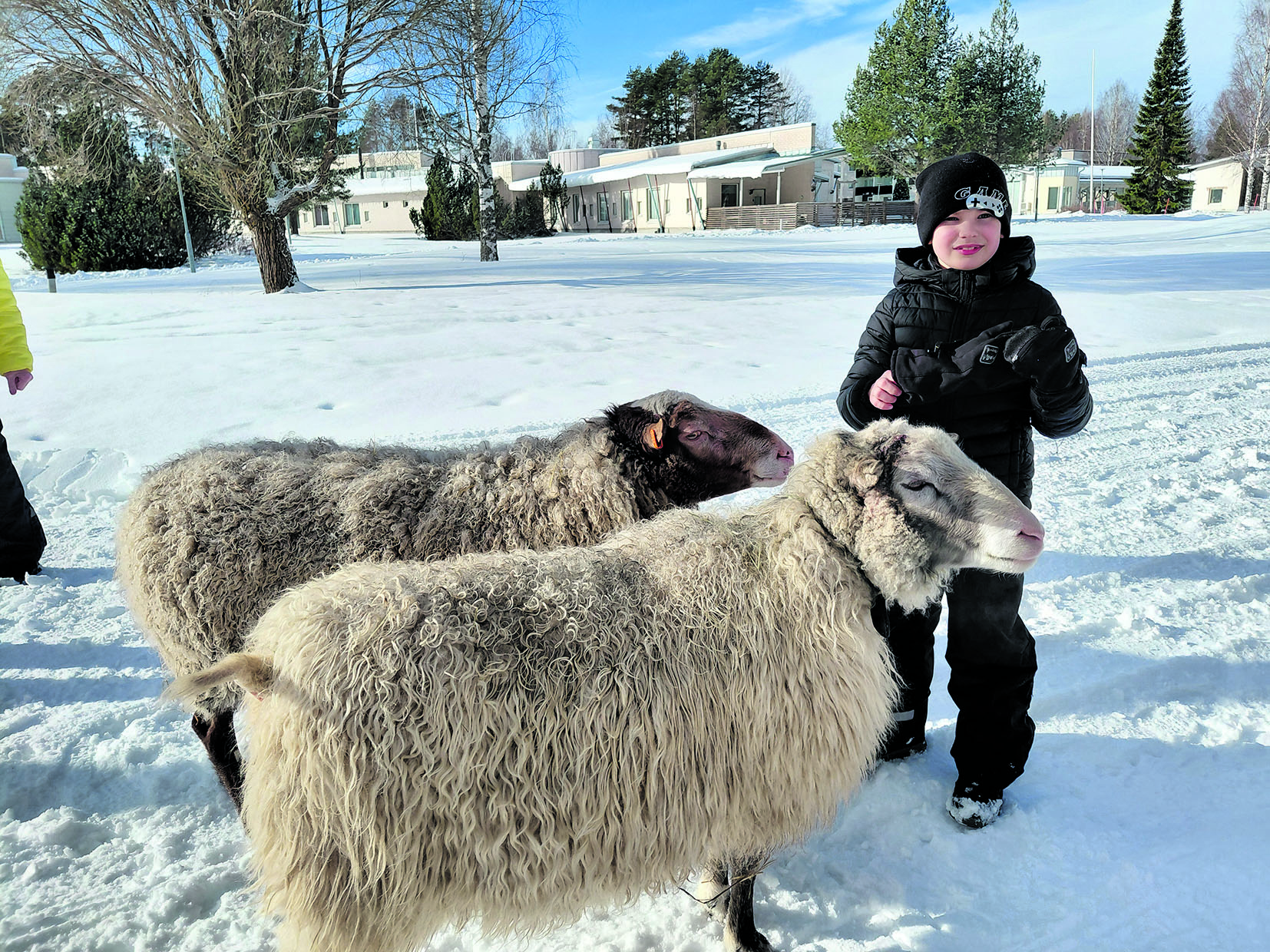 Jooa Tanskanen sanoi, että Kenain ja Ramun selkä on ihan heinissä.