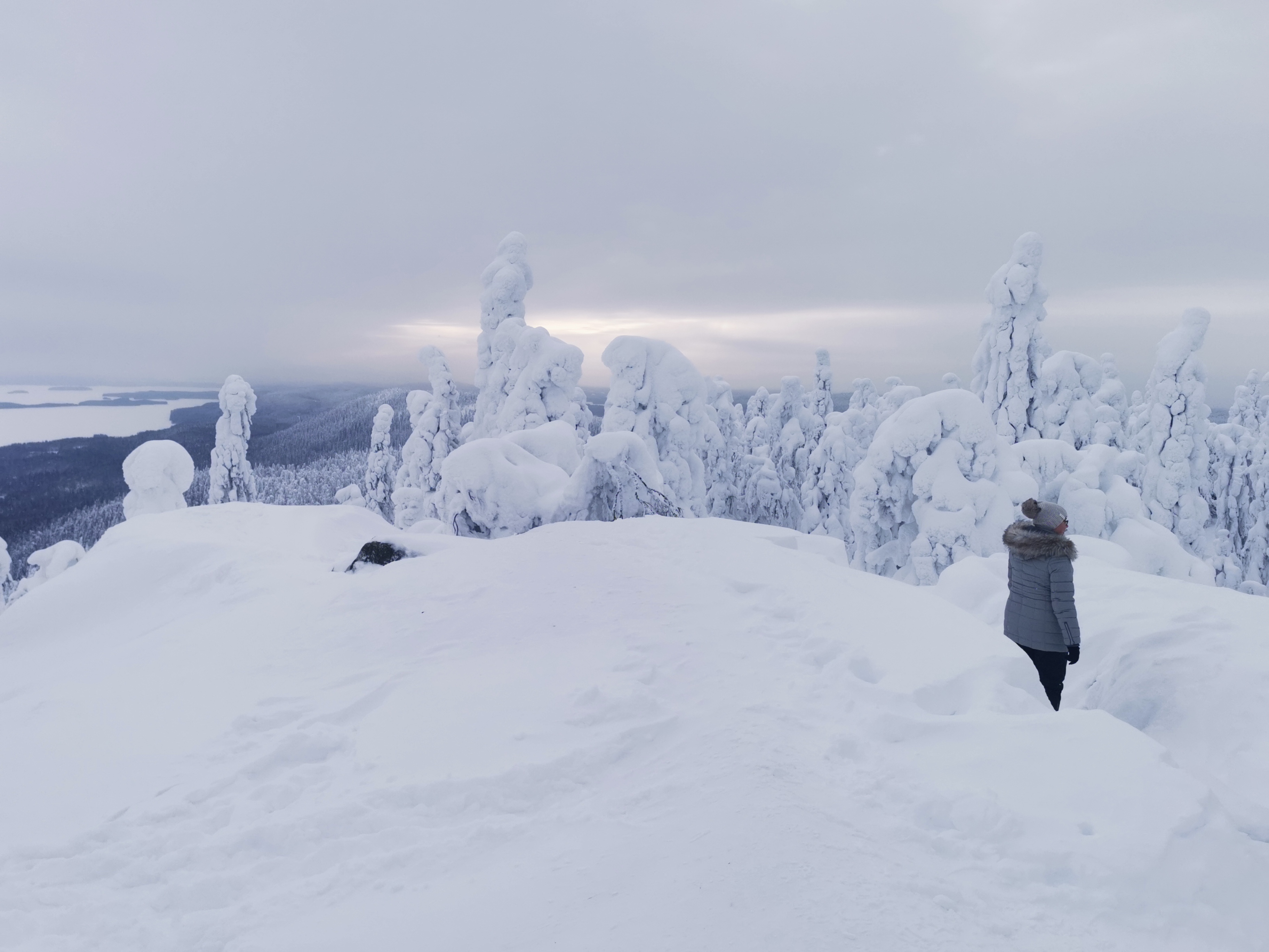 Kolin neljään vuodenaikaan pohjautuva matkailukonsepti palkittiin pohjoismaiden parhaana.