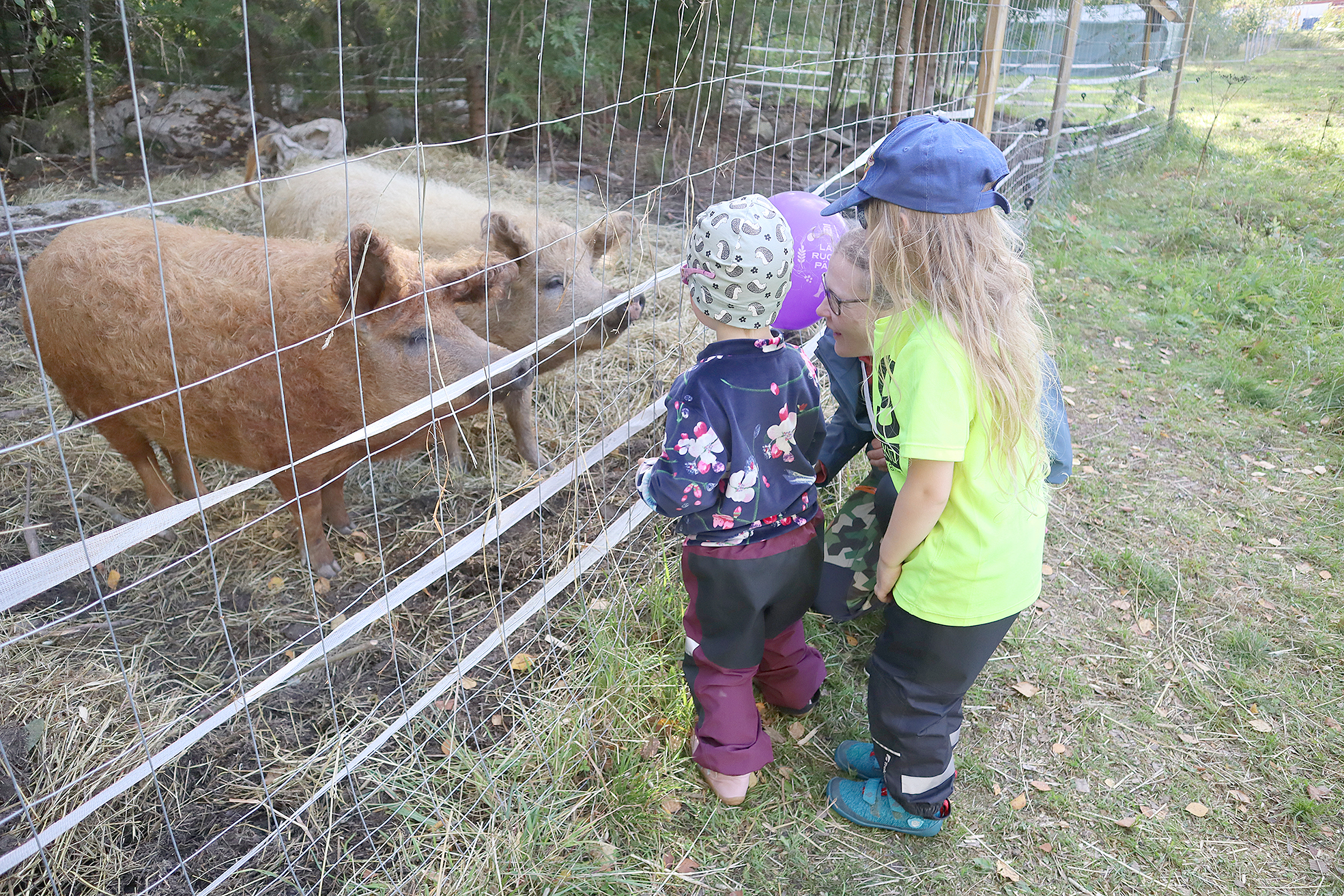 Merja Tukiainen lastensa Annin ja Neean kanssa ihmettelemässä Kankaan tilalla villapossuja Rumbaa ja Bumbaa.