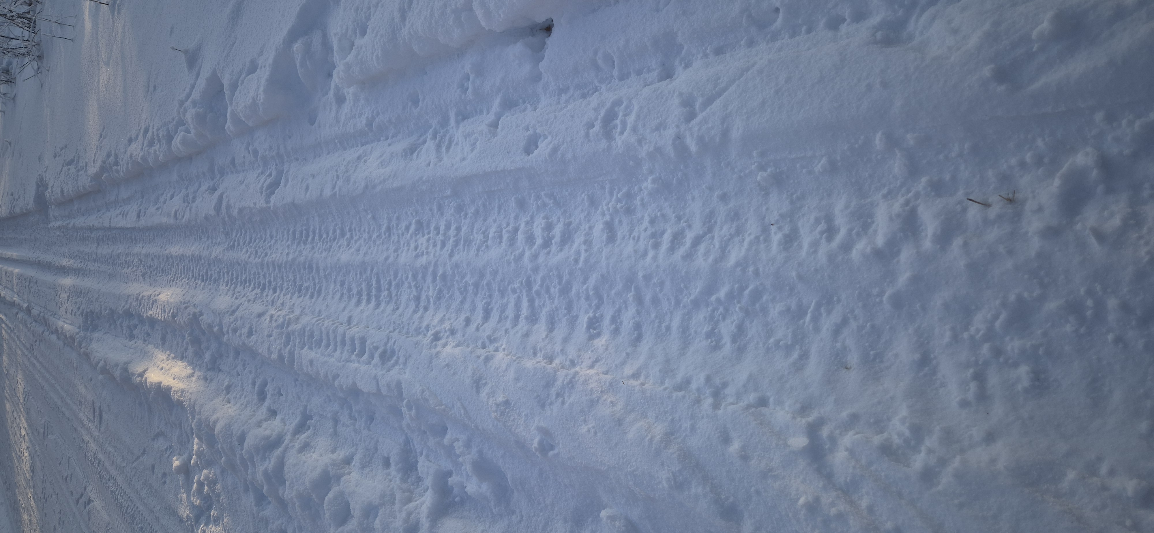 Turunlammen maastoissa olisi mukava hiihdellä, jos vaan jatkuva ilkivalta loppuisi. Latupohjat rikotaan ajelemalla pahimmillaan samana päivänä, kun ladut on saatu kuntoon. 