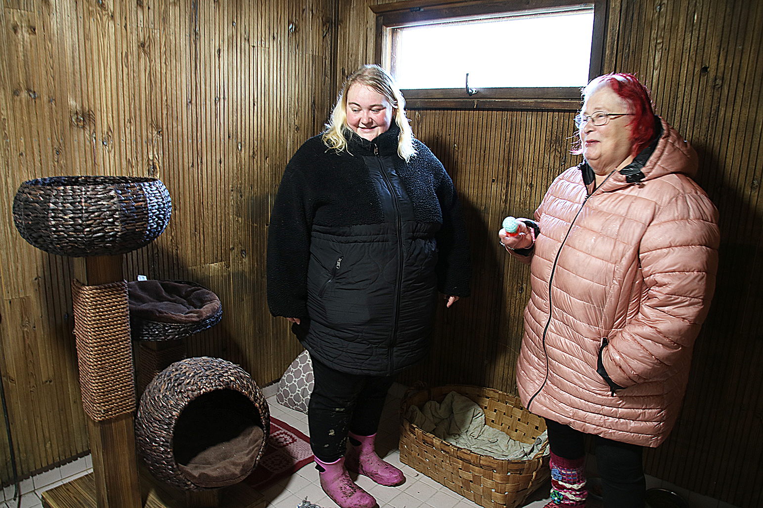 Tinka-kissa ujosteli, kun Arja Oksman (oik.) kävi sitä tervehtimässä Kankaan tilalla. Tinka muutti Petrovaarasta kuun vaihteessa, kun Sannamari Kangas (vas.) otti löytökissat hoitaakseen.