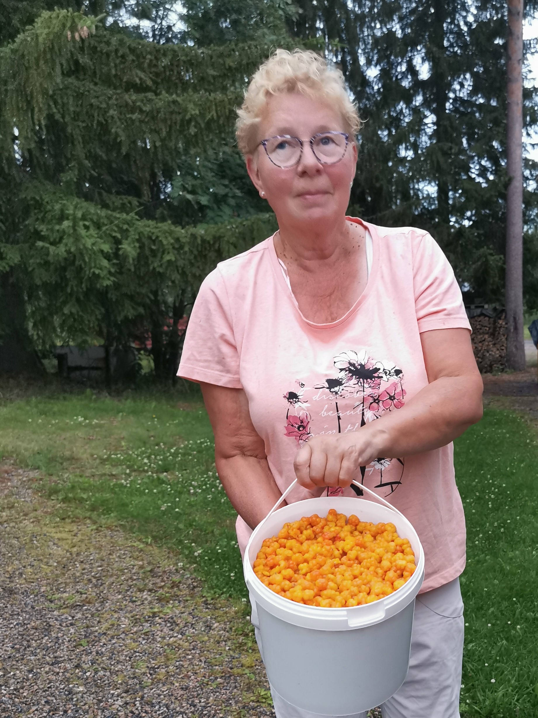 Metsämarjojen poiminta-aika on alkanut. Lakat ovat kypsiä ja mehukkaita, kertoo Marja Hiltunen.