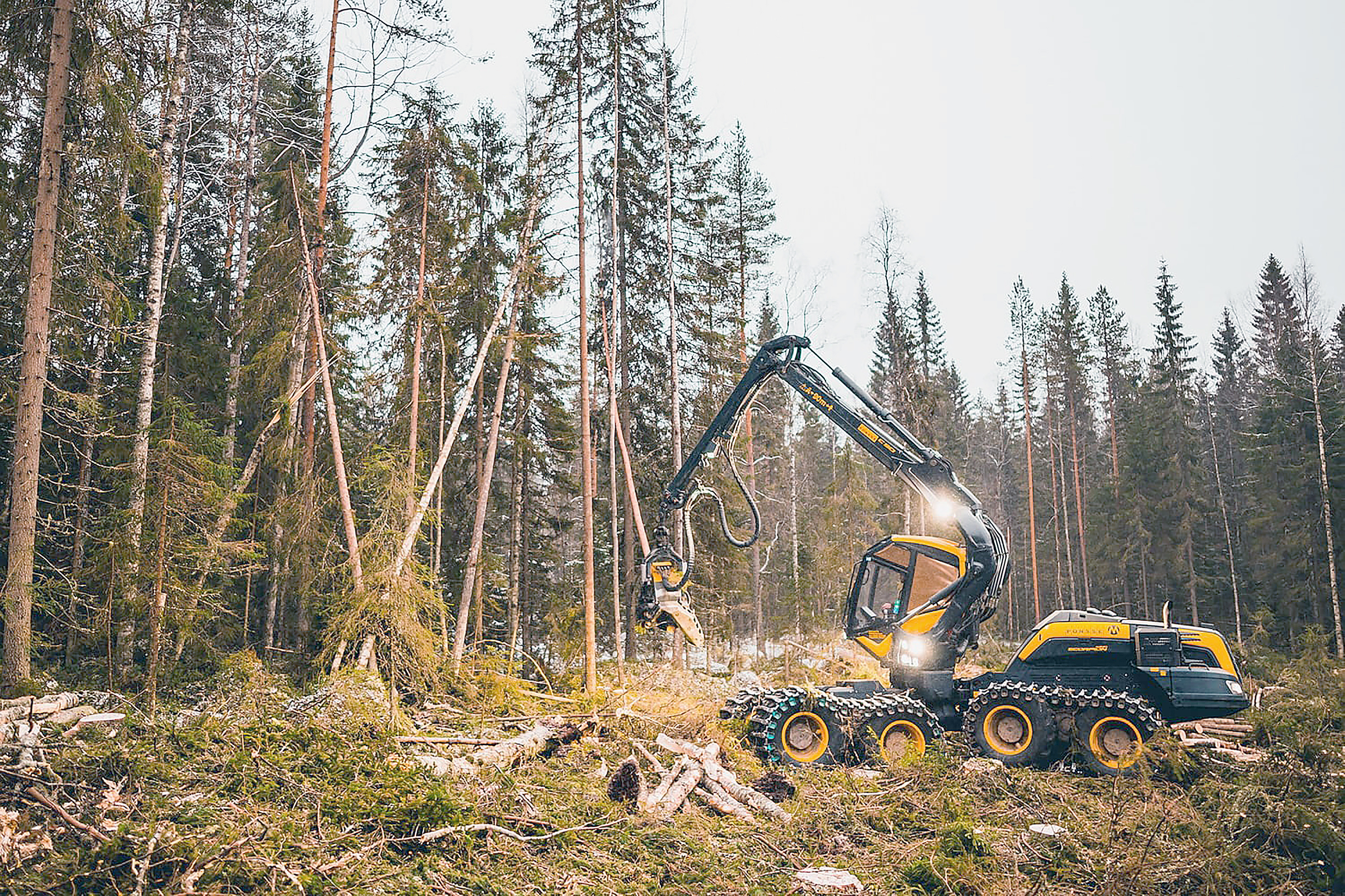 Metsäkoneenkuljettajan työ on itsenäistä ja luonnonläheistä. Kuva Motoajo Oy

