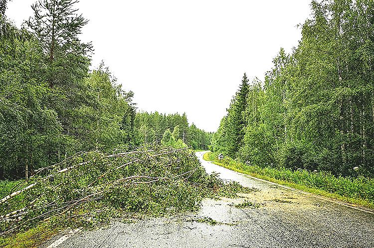 Olavi-myrsky riepotteli puita lauantaina muun muassa Kannaksen kylällä. Kuva Heikki Turunen.