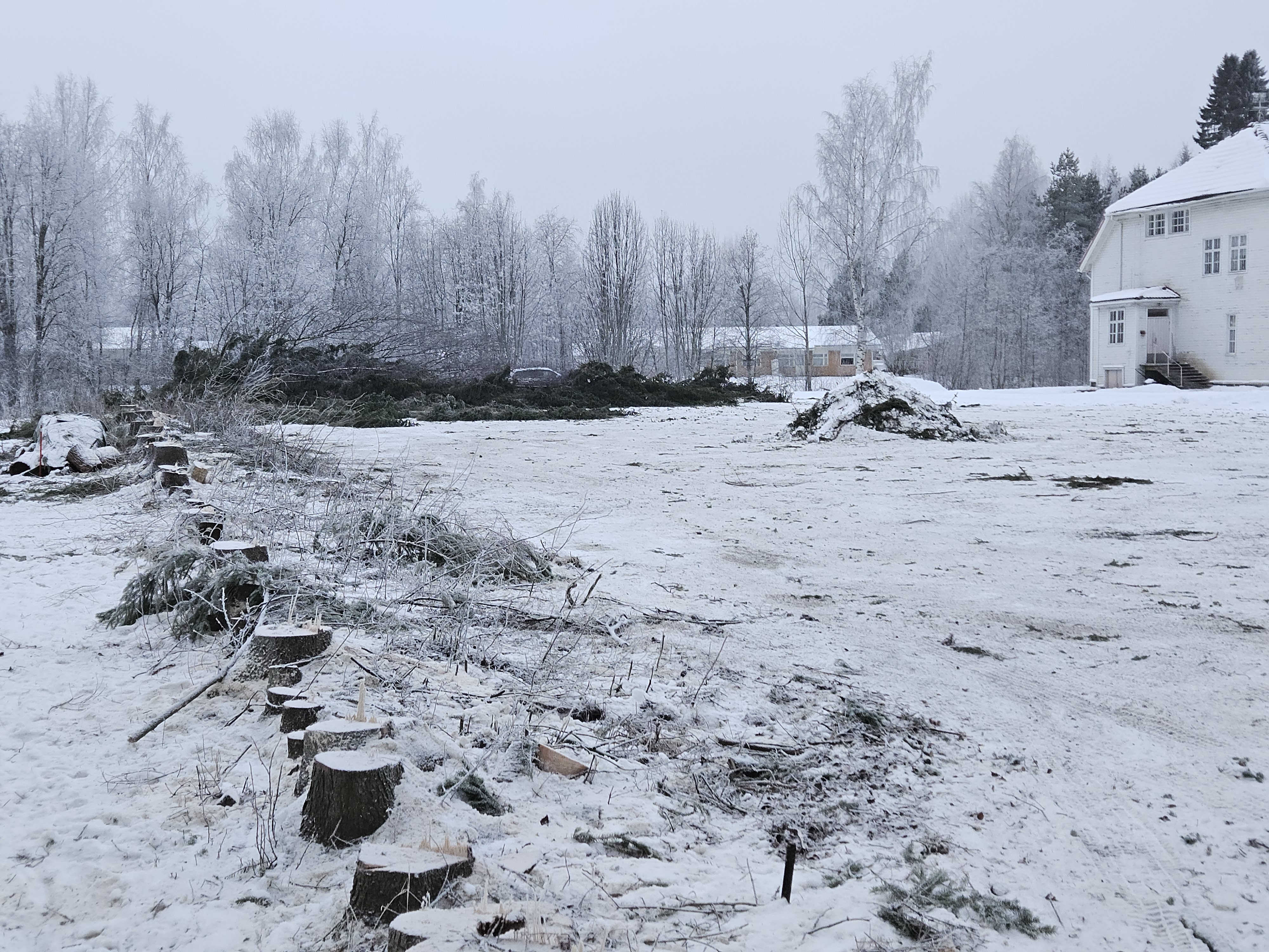 Kuusikon kaadon jälkeen Pavin kentän maisema muuttui. 