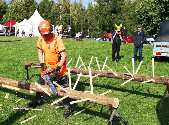 Ilomantsilainen moottorisahauksen Suomen mestari ja joukkuemaailmanmestari Jarmo Laatikainen näytti mallia kotitarvemetsurille oksien karsinnasta.