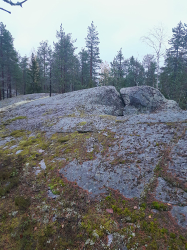 Kajoossa sijaitsevat Valkeat kalliot kohoavat yli 300 metriä merenpinnan yläpuolelle. Timanttikylät järjesti sinne retken aiemmin syksyllä.