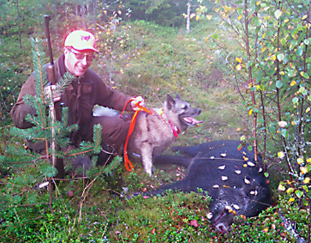 Jukka Miettinen kaatoi elämänsä ensimmäisen villisian maanantaina.